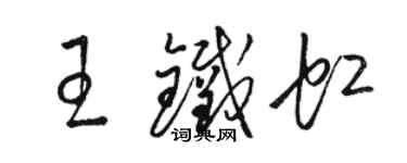 駱恆光王鐵虹草書個性簽名怎么寫