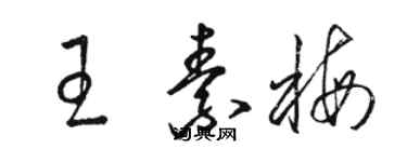 駱恆光王素梅草書個性簽名怎么寫