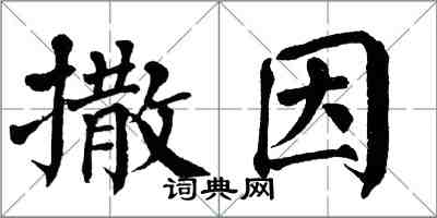 翁闓運撒因楷書怎么寫