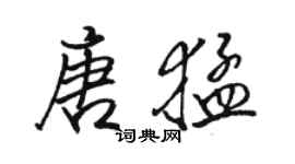 駱恆光唐猛行書個性簽名怎么寫