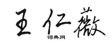 駱恆光王仁薇行書個性簽名怎么寫
