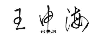 駱恆光王申海草書個性簽名怎么寫