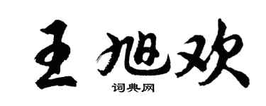 胡問遂王旭歡行書個性簽名怎么寫