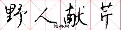 野人獻芹怎么寫好看