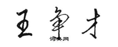 駱恆光王爭才行書個性簽名怎么寫