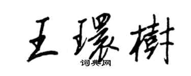 王正良王環樹行書個性簽名怎么寫