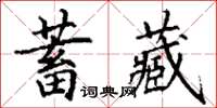 丁謙蓄藏楷書怎么寫