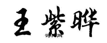 胡問遂王紫曄行書個性簽名怎么寫