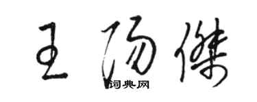 駱恆光王陽傑草書個性簽名怎么寫