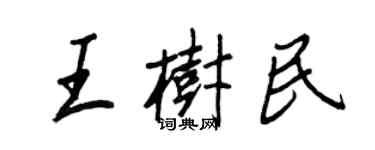 王正良王樹民行書個性簽名怎么寫