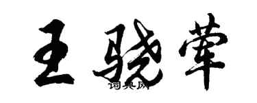 胡問遂王驍葷行書個性簽名怎么寫