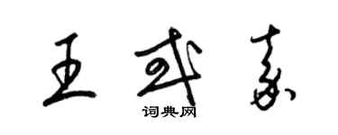 梁錦英王或嘉草書個性簽名怎么寫