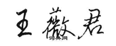 駱恆光王薇君行書個性簽名怎么寫