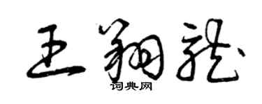 曾慶福王翔龍草書個性簽名怎么寫