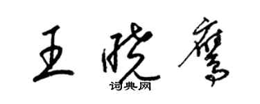 梁錦英王曉鷹草書個性簽名怎么寫