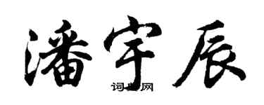 胡問遂潘宇辰行書個性簽名怎么寫