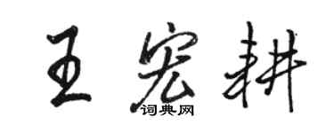 駱恆光王宏耕行書個性簽名怎么寫