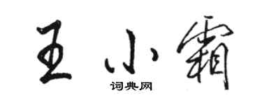 駱恆光王小霜行書個性簽名怎么寫