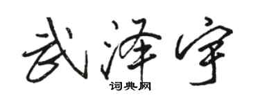 駱恆光武澤宇行書個性簽名怎么寫