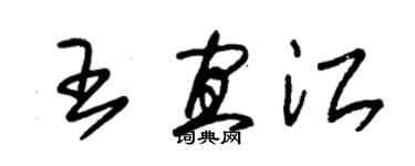 朱錫榮王宜江草書個性簽名怎么寫