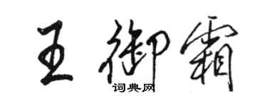 駱恆光王御霜行書個性簽名怎么寫