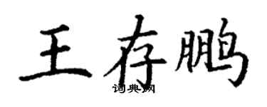 丁謙王存鵬楷書個性簽名怎么寫