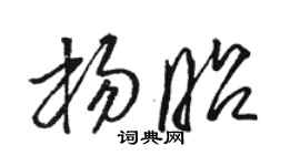 駱恆光楊昭草書個性簽名怎么寫