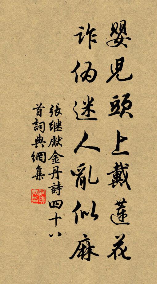張繼先嬰兒頭上戴蓮花,詐偽迷人亂似麻書法作品欣賞
