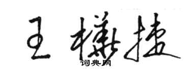 駱恆光王樺捷草書個性簽名怎么寫