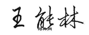 駱恆光王能林行書個性簽名怎么寫