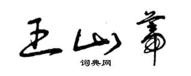 曾慶福王山蒂草書個性簽名怎么寫