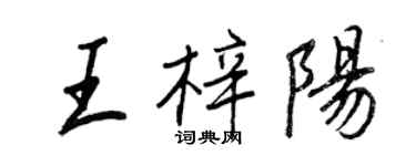 王正良王梓陽行書個性簽名怎么寫