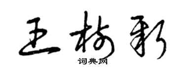 曾慶福王樹新草書個性簽名怎么寫