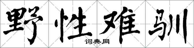 翁闓運野性難馴楷書怎么寫