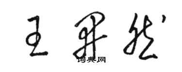 駱恆光王開然草書個性簽名怎么寫