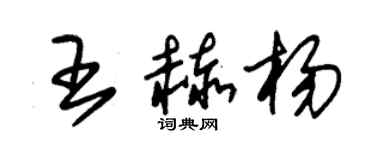 朱錫榮王赫楊草書個性簽名怎么寫