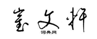 梁錦英崔文軒草書個性簽名怎么寫