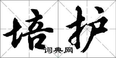 胡問遂培護行書怎么寫