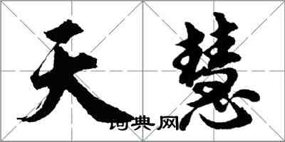 胡問遂天慧行書怎么寫