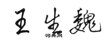 駱恆光王生魏行書個性簽名怎么寫