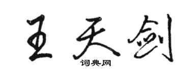 駱恆光王天劍行書個性簽名怎么寫