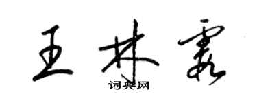 梁錦英王林霞草書個性簽名怎么寫