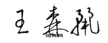 駱恆光王森麗草書個性簽名怎么寫