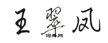 駱恆光王翠鳳行書個性簽名怎么寫