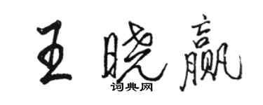 駱恆光王曉贏行書個性簽名怎么寫