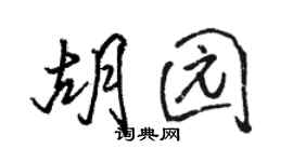 駱恆光胡園行書個性簽名怎么寫