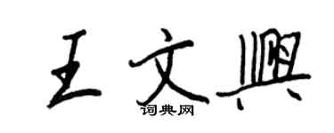 王正良王文興行書個性簽名怎么寫