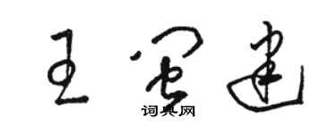 駱恆光王閩建草書個性簽名怎么寫