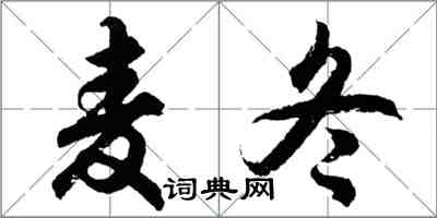 胡問遂麥冬行書怎么寫