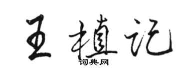 駱恆光王植記行書個性簽名怎么寫